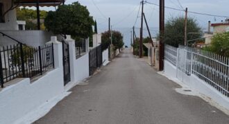 Οικόπεδο Αγροτεμάχιο