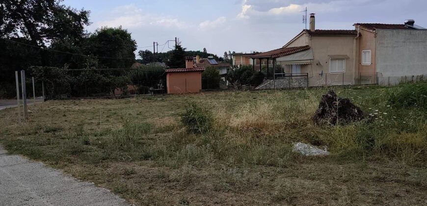 Οικόπεδο