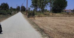Οικόπεδο
