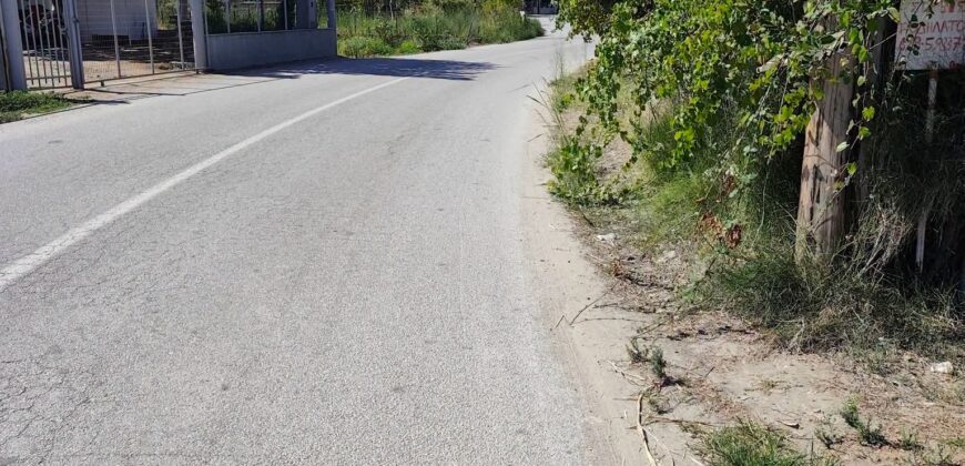 Οικόπεδο