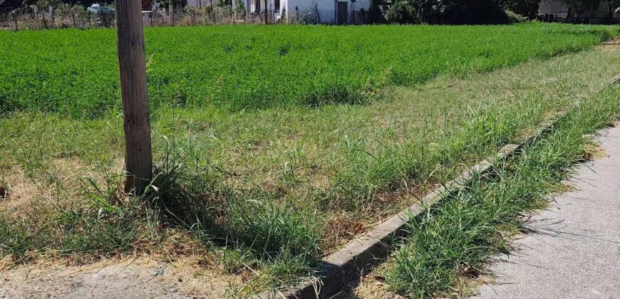 Οικόπεδο